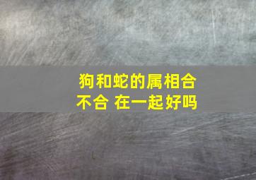 狗和蛇的属相合不合 在一起好吗